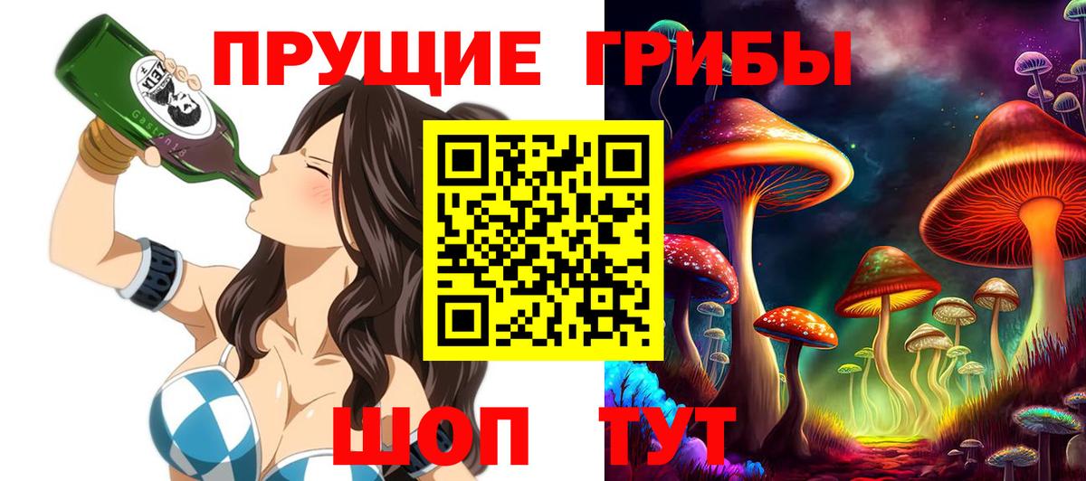 Котлас  Псилоцибиновые грибы мухоморы  Вход с VPN  Псилоцибиновые грибы мухоморы 