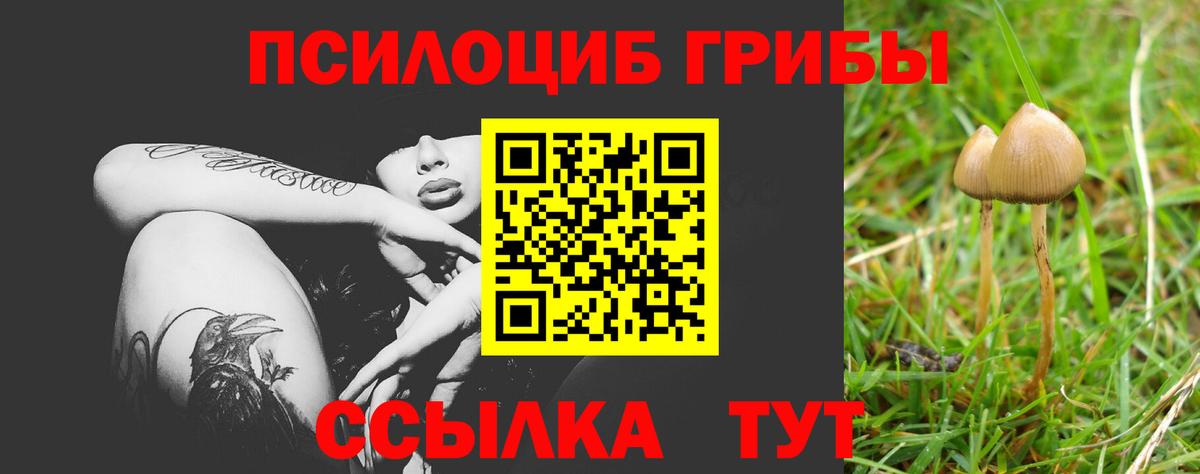 Псилоцибиновые грибы прущие грибы Котлас